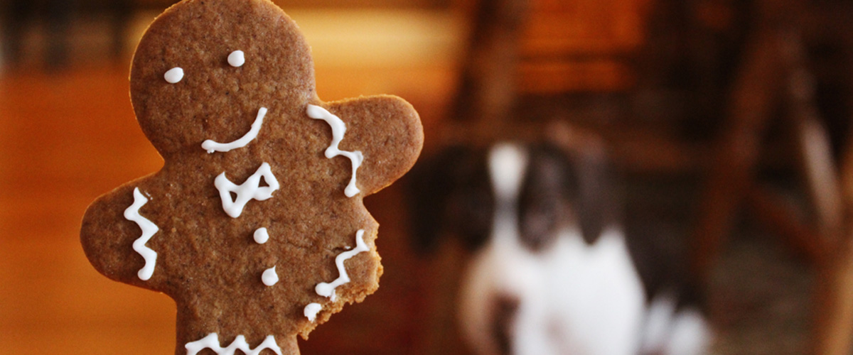 Privacy and cookie